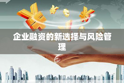 桃江企业融资的新选择与风险管理