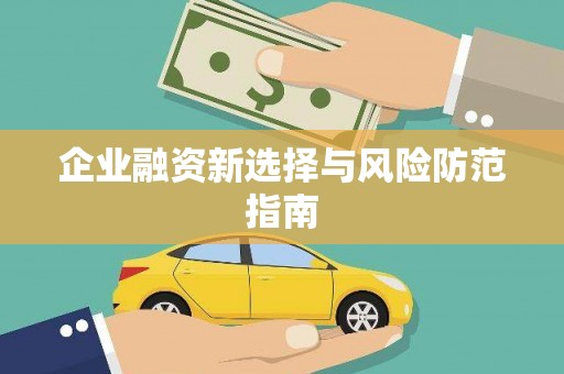 桃江企业融资新选择与风险防范指南