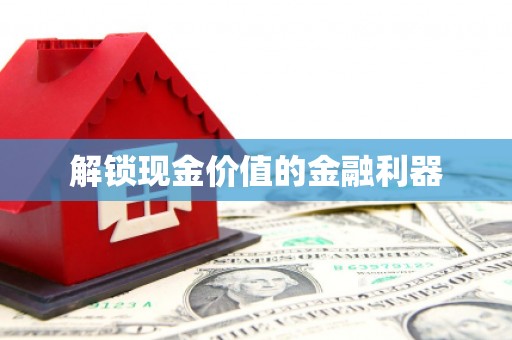 桃江解锁现金价值的金融利器