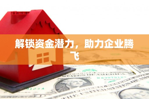 桃江解锁资金潜力，助力企业腾飞