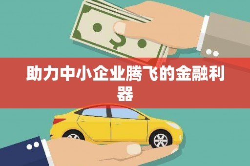 桃江助力中小企业腾飞的金融利器