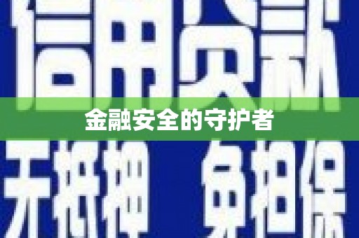 桃江金融安全的守护者