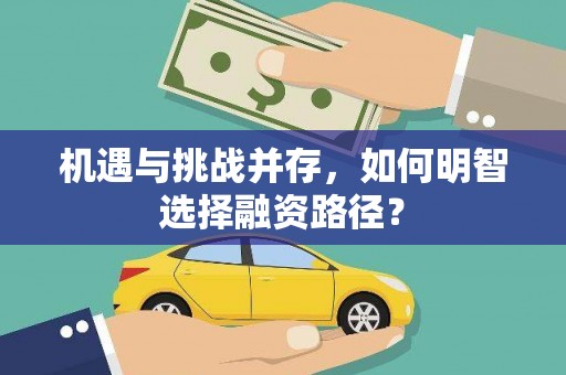 桃江机遇与挑战并存，如何明智选择融资路径？