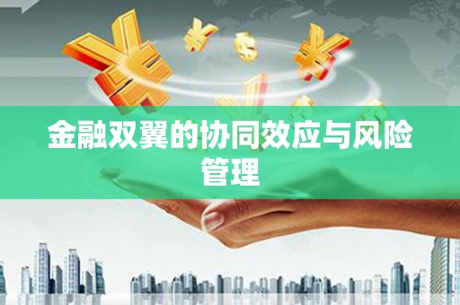 桃江金融双翼的协同效应与风险管理