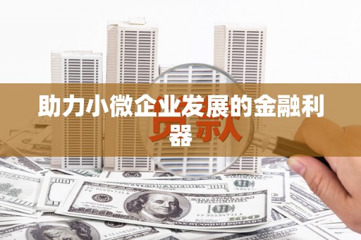 桃江助力小微企业发展的金融利器