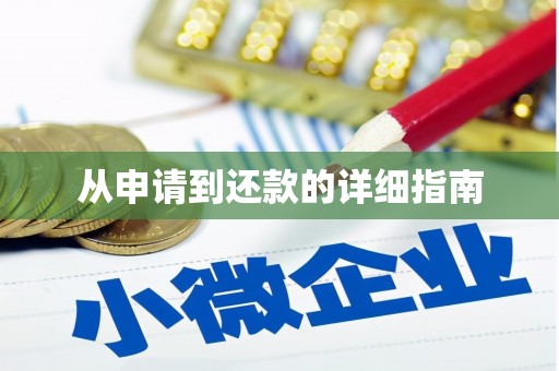 桃江从申请到还款的详细指南