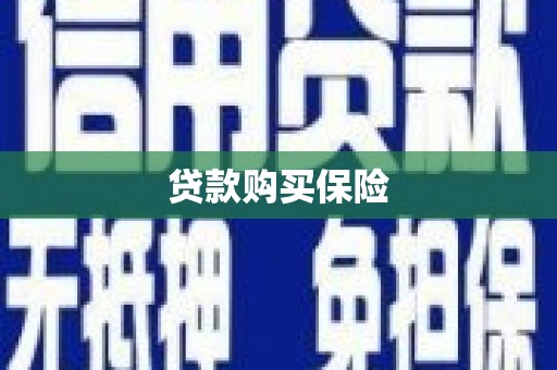 桃江贷款购买保险