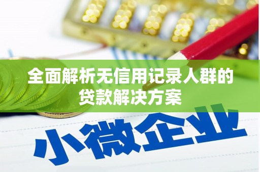 桃江全面解析无信用记录人群的贷款解决方案
