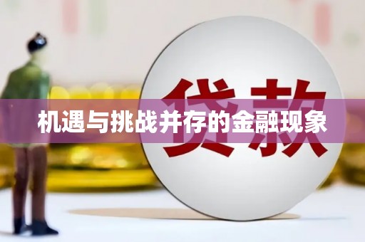 桃江机遇与挑战并存的金融现象