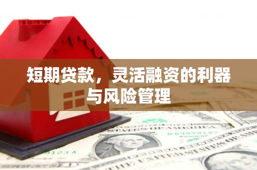 桃江短期贷款，灵活融资的利器与风险管理