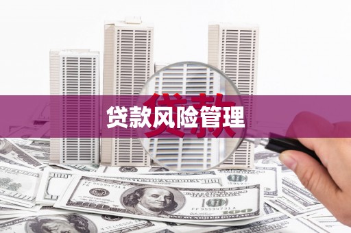 桃江贷款风险管理