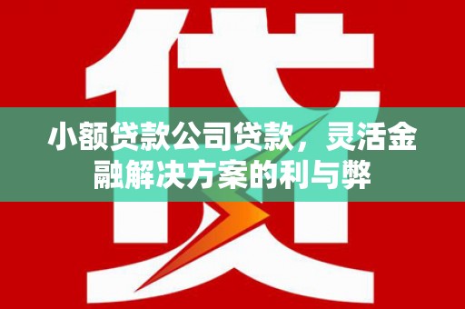 桃江小额贷款公司贷款，灵活金融解决方案的利与弊