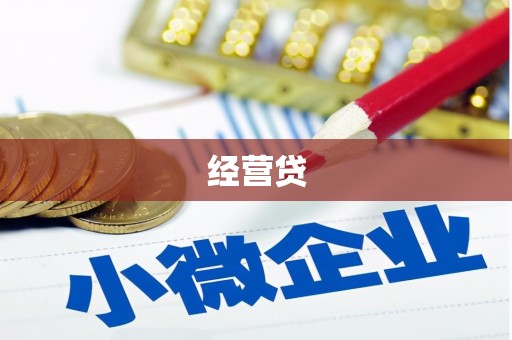桃江经营贷