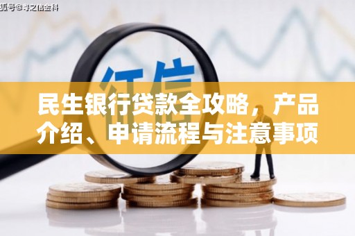 桃江民生银行贷款全攻略，产品介绍、申请流程与注意事项